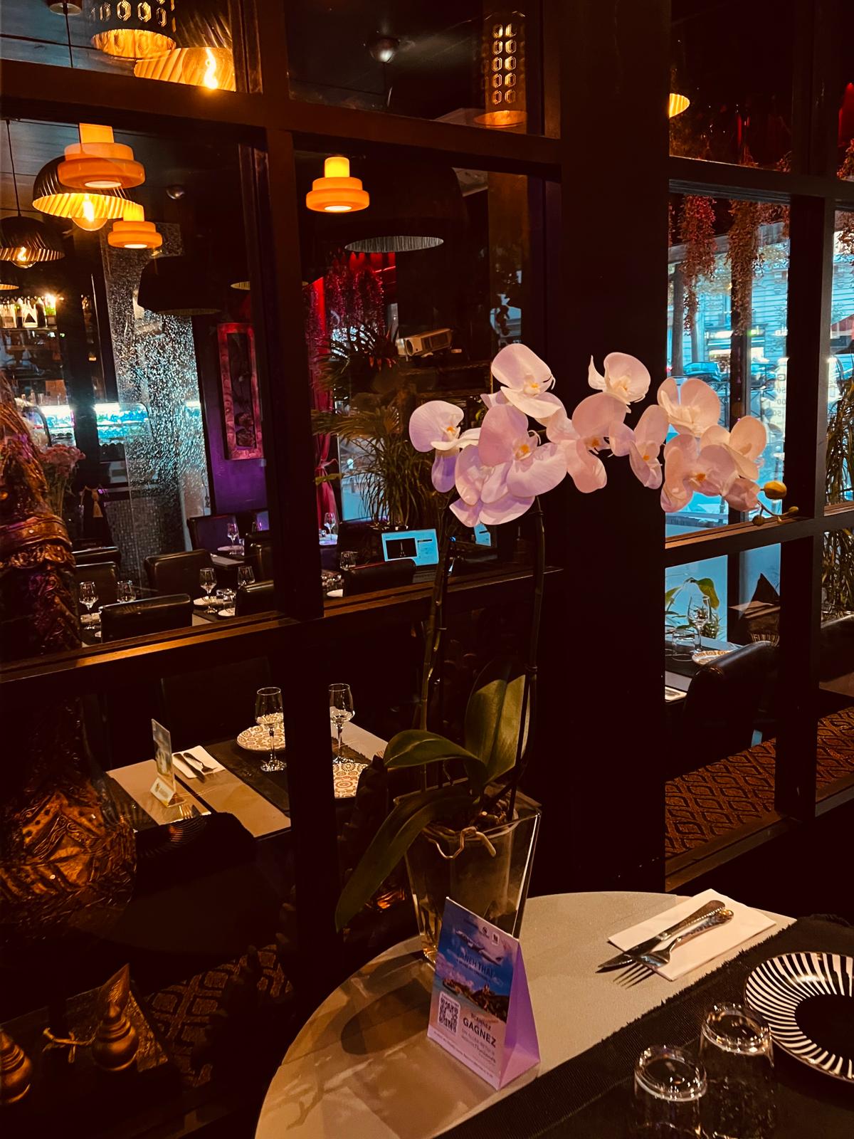 Orchidées suspendues dans la salle